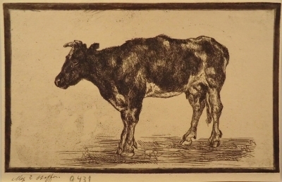 0431
<br/>
Koe
<br/>
<em>Stoffers, Elisabeth</em>