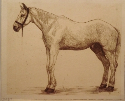 0461
<br/>
Wit paard
<br/>
<em>Hasselt, Margaretha van</em>