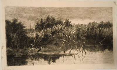 0510
<br/>
Riet aan het water
<br/>
<em>Besier, Johanna H.</em>