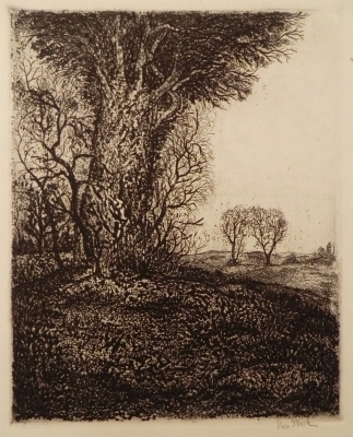 0849
<br/>
Landschap
<br/>
<em>Strik, Lou</em>