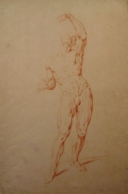 4036
<br/>
Écorché, naar een beeld van Van Tetrode (vooraanzicht)
<br/>
<em>onbekend</em>