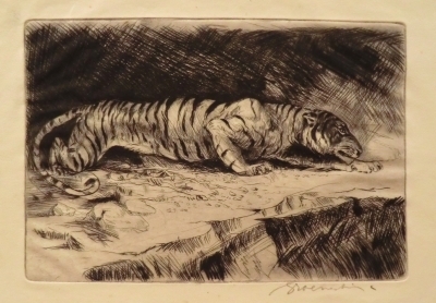 6348
<br/>
Sluipende tijger
<br/>
<em>Groenestein, Johannes</em>