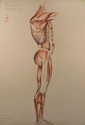 9044
<br/>
Spiertekening
<br/>
<em>Gorter Boonstra, N.H.</em>