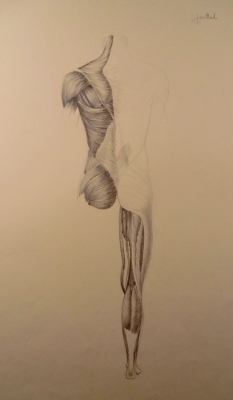 9363
<br/>
Spiertekening
<br/>
<em>Hul, Jan M.F.</em>