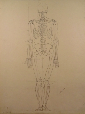9406
<br/>
Skeletstudie (achteraanzicht)
<br/>
<em>Bronner, Jan</em>